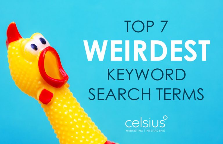 top 7 weirdest keyword search terms