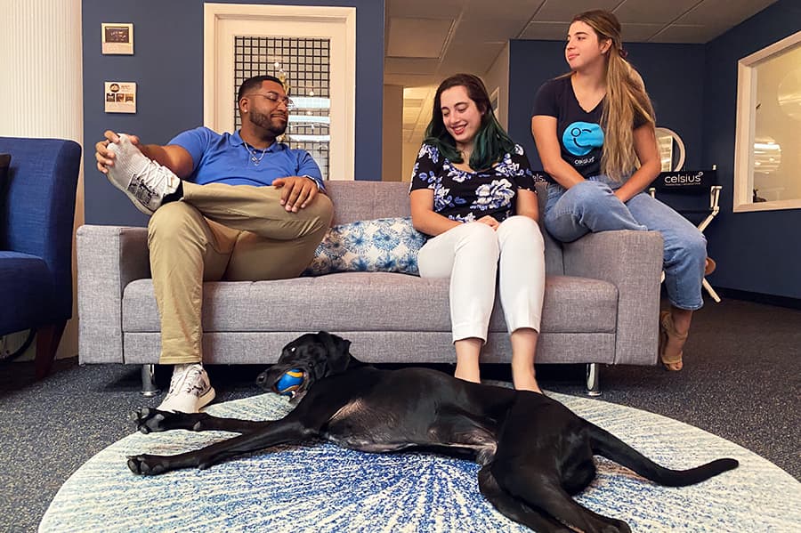 Celsius employees lounging on the office couch, playing with one of their dogs.