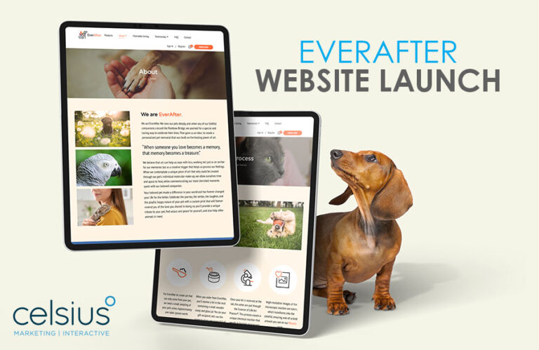 everafter website launch