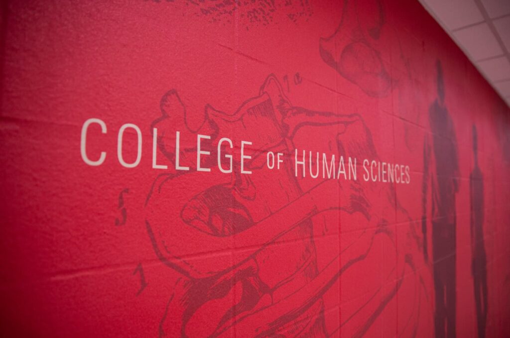 ISU's College of Human Sciences' environmental design, featuring graphics applied directly to the cinder block wall.