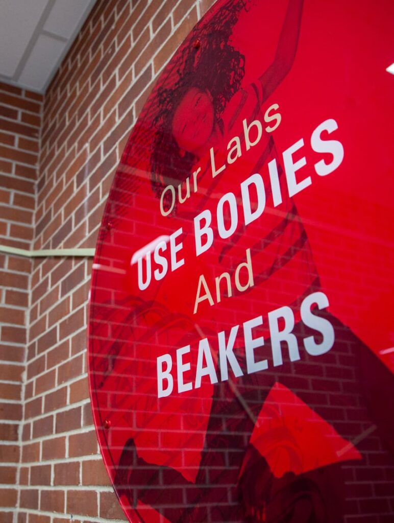 Wall art designed for ISU's Department of Kinesiology, featuring typography declaring, "Our labs use bodies and beakers."