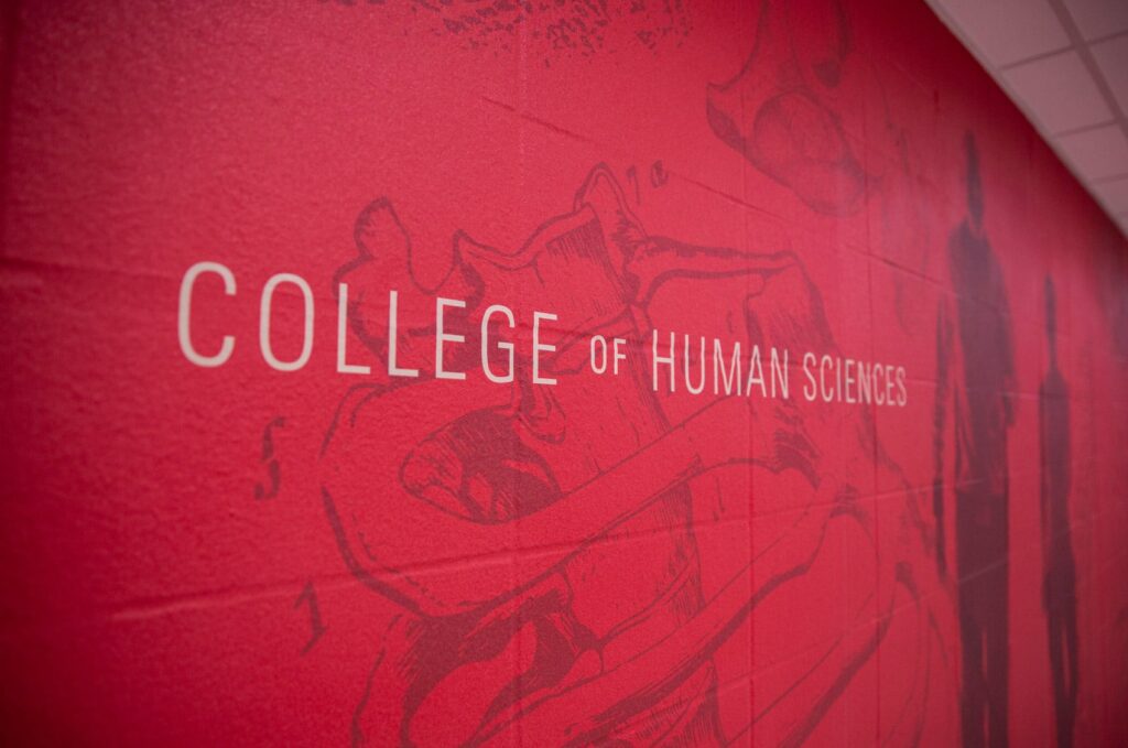 Wall graphic designed for ISU's Department of Kinesiology, featuring "College of Human Sciences" overlaid on duotone imagery.