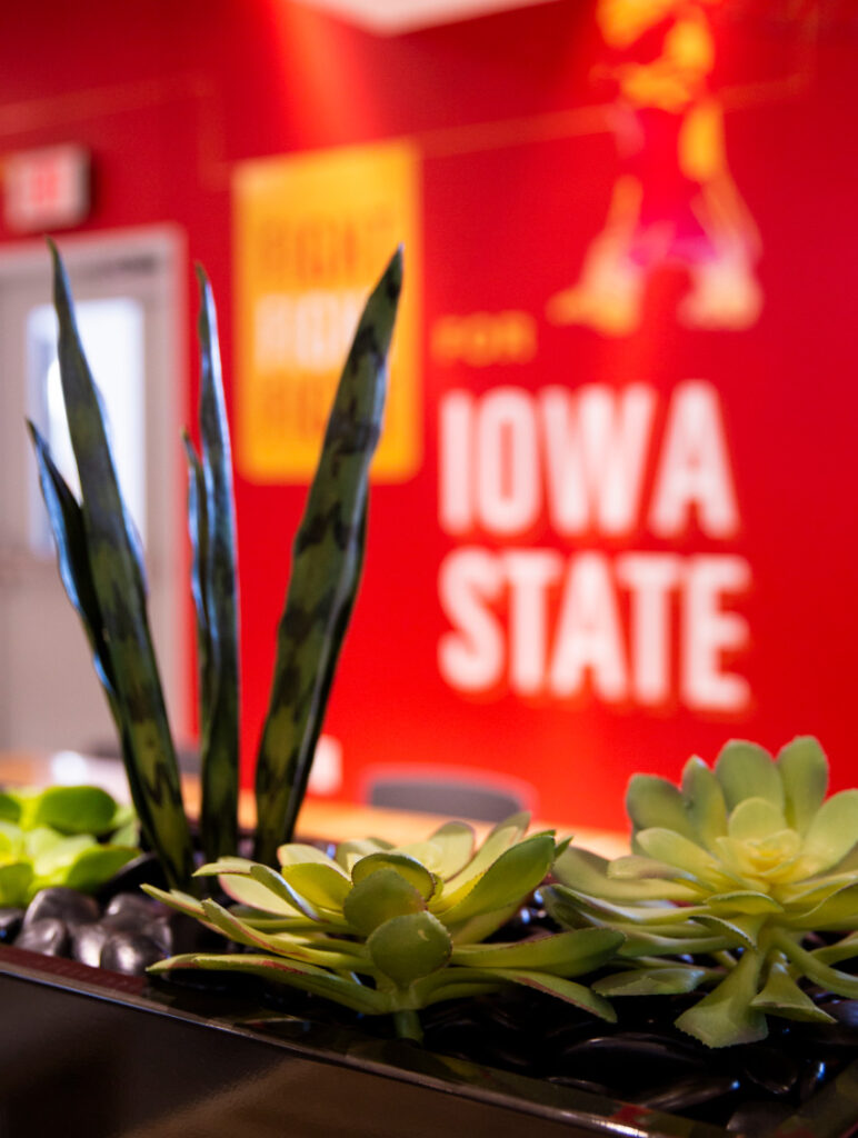 Detail of the artificial succulents used to decorate the divider walls in The Mezzanine on ISU's campus.