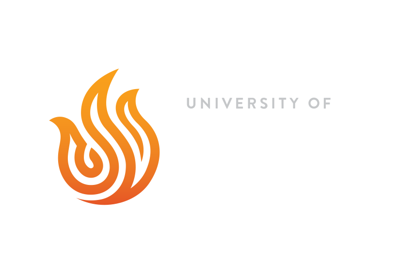 University of Silicon Valley® logo