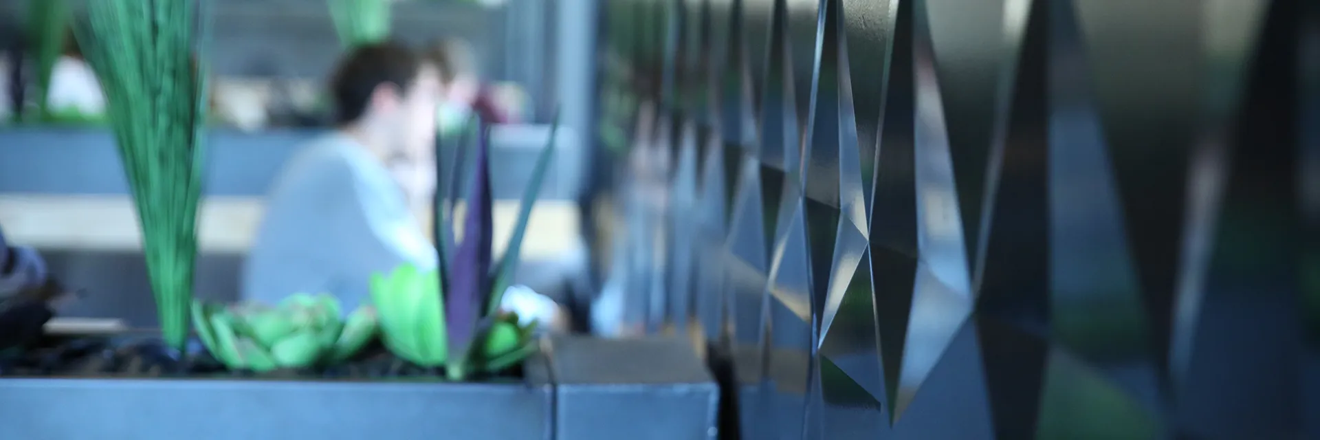 Texture detail of the 3D geometric wall panels and succulent plant dividers at the Union Drive Marketplace "Night Room" on Iowa State University's campus.